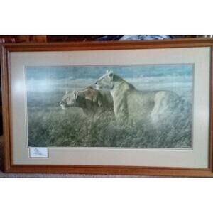 "Tension at Dawn" by Simon Combes - Limited Edition Canvas Artist's Proof#94/850